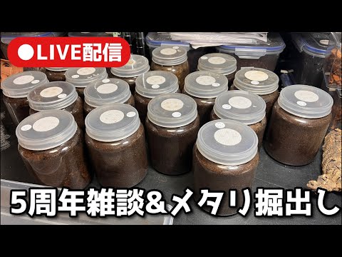 【LIVE配信】5周年雑談&メタリフェル掘出し