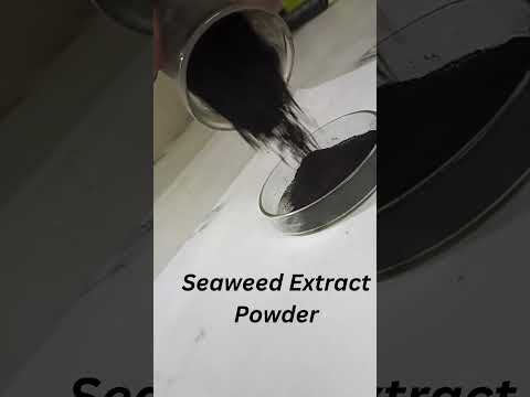 Seaweed Extract