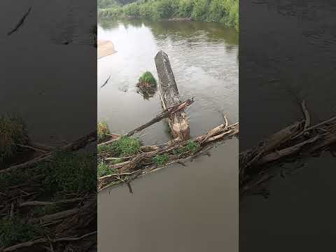 Icebreaker in the Border River Bug