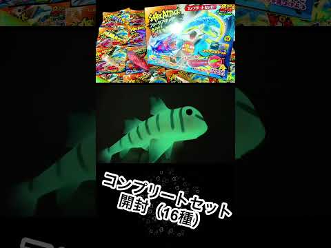 シャークアタック＆co.コンプリートセット開封☆【shark attack ＆co.】Deagostini オープニング