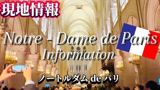 【ノートルダムde パリ🇫🇷】拝観情報&知っておきたい周辺お役立ち情報　#パリ　#フランス  #ノートルダム大聖堂パリ