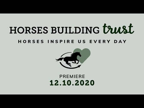 Horses Building Trust teaser