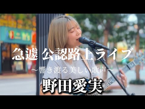 2024/09/05 “野田愛実”急遽【歌舞伎町タワー/公認路上ライブ】※詳しくは概要欄をご覧下さい！#野田愛実 #和牛特区 #新宿 #歌舞伎町 #ドラマ #主題歌