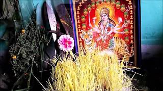 Ghatasthapana Puja Vidhi |घटस्थापनादेखि दशैँसम्म” P 2: NEPALI FESTIVALS| Dashain Aayo| Dasai|Dashain