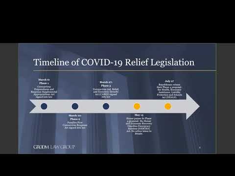 COVID 19 Webinar The Latest PPP and Legislative Updates from Capitol Hill