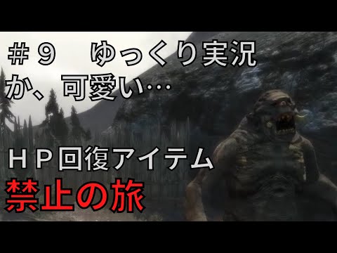 【ドラゴンズドグマダークアリズン】HP回復アイテム縛りの旅＃９【ゆっくり実況】