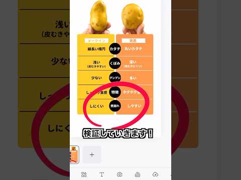 【ポテト好きにみてほしい🥔】検証‼︎じゃがいもは品種で何が違うのか2時間かけて調べてみたらヤバかった！#キャンバ #PR #shorts