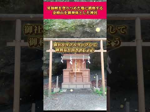 【10秒参拝】西室権現 社様より、御利益をお受け取りください #金運  #開運波動 #開運パワーアップ