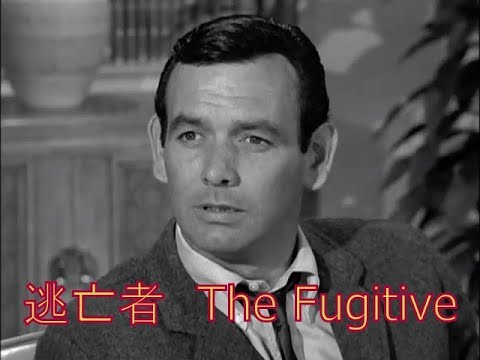 ６０年代のTVドラマ逃亡者The Fugitiveより２話　リングの決断、虫けらの命