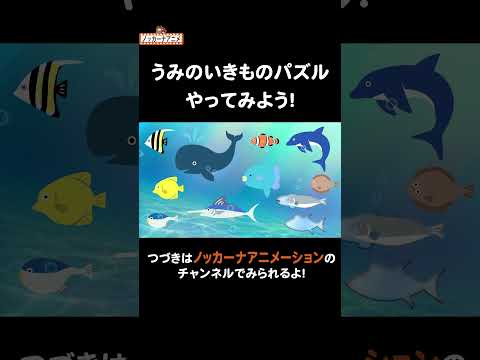 海の生き物パズルやってみよう！ #nokkanaanimation #ノッカーナアニメーション #知育アニメ #shorts