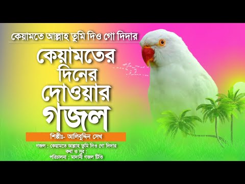 কেয়ামতের দিনের দোওয়ার গজল | কেয়ামতে আল্লাহ তুমি | একবার শুনুন চোখ দিয়ে পানি চলে আসবে | Alibuddin