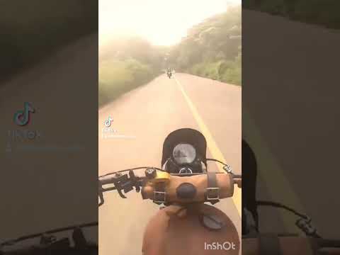 Triumph Street Scrambler raw exhaust sound 🤙