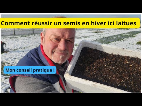 Comment faire un semis en hiver de laitues  en utilisant la chaleur de la maison