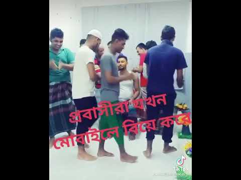 বিদেশীদের বিয়ার আনন্দ