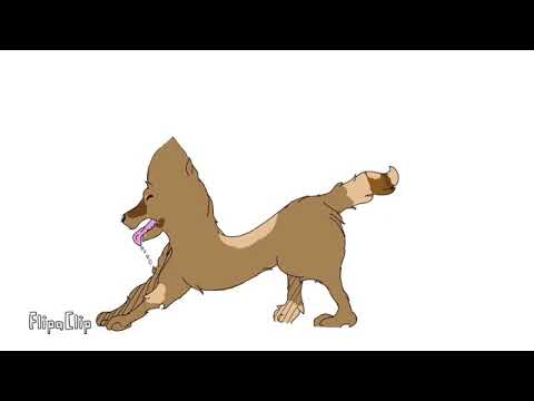 A dog I attempted to animate on Flipaclip