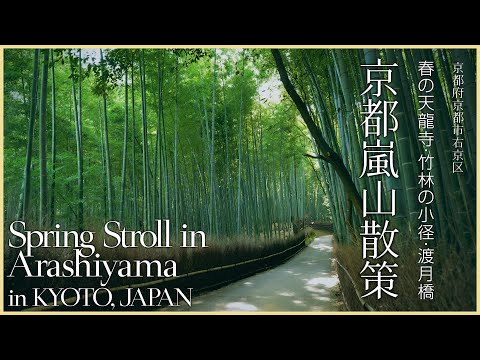 【京都／観光名所】京都嵐山散策／春の天龍寺・竹林の小径・渡月橋 - Spring Stroll in Arashiyama in KYOTO, JAPAN