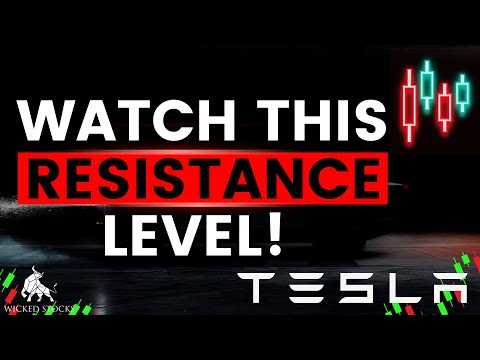 Tesla Stock Price Analysis | Top Levels To Watch for November 19th, 2024