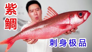 试吃一条红唇烈焰紫鲷鱼，刺身极品，口感幼嫩【小文哥吃吃吃】