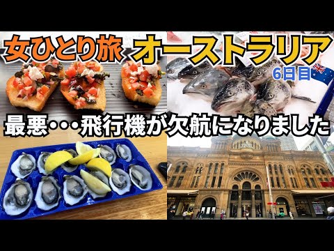 【オーストラリアひとり旅Vlog6日目】翌日の帰国便に合わせてケアンズに戻るはずが、飛行機が欠航に・・・