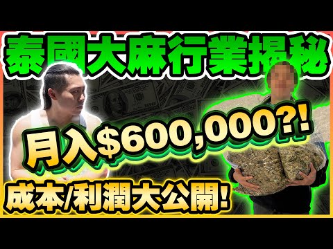 【大麻行業揭秘】港人在泰國賣大麻月賺$600,000，揭露行內危險真相🚫拍攝途中逃避警察👮 🚨！大麻再次被禁...？同行被騙三千萬？！泰國有甚麼危險嗎...？