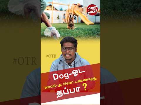 Dog-ஓட Waste-அ clean பண்ணாதது தப்பா?? Interesting Foreign Rules-09 #obeytherules #otr