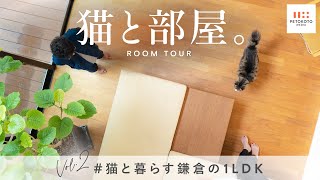 愛猫とんがりと暮らす家のルームツアー【猫と部屋】02：tomoyaさん・ayumiさんご家族（鎌倉/1LDK/一戸建て/ノルウェージャンフォレストキャット)