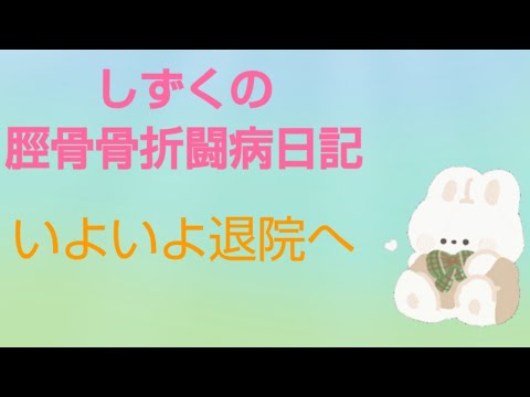 しずくの脛骨骨折闘病日記 ~いよいよ退院へ~