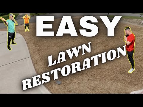 DIY Lawn Restoration In 9 EASY STEPS