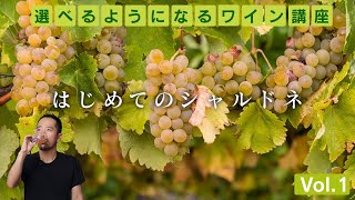 大人の教養、シャルドネって何？【 ワイン講座 】