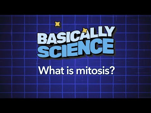 What is Mitosis? | Basically Science