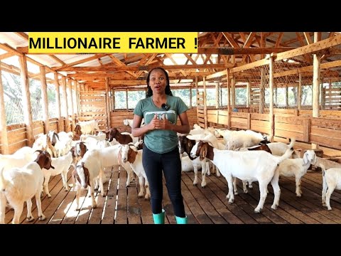 How To START A Successful GOAT Farm! | Feeds, Housing, Mistakes to Avoid!