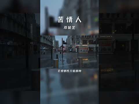 #经典粤语歌曲 #苦情人