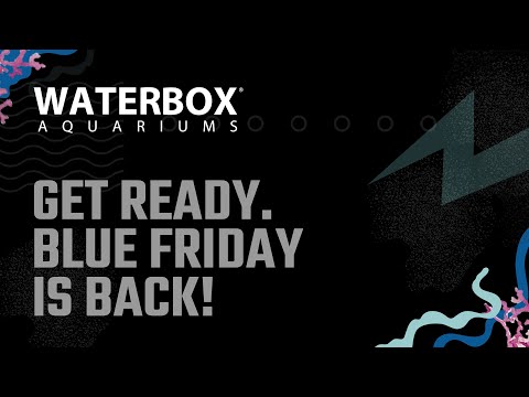 Get Ready for BLUE FRIDAY  | The Once a Year Waterbox Event