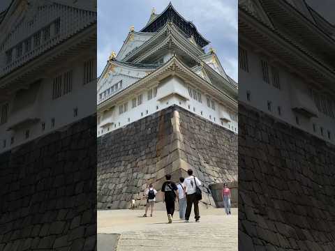 大阪城 Osaka Castle #japan #osaka #castle #shorts #日本 #大阪 #大阪城