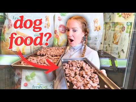 I Made My WET Dog Food Last 25 Years! A Must Try 🤯