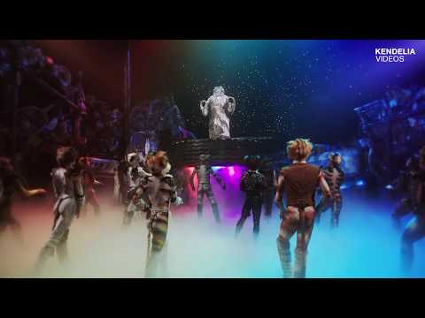 CATS the Musical