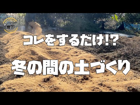 今から始める【籾殻】を使った【土作り】冬の土づくりも大事だよ【農家の家庭菜園】