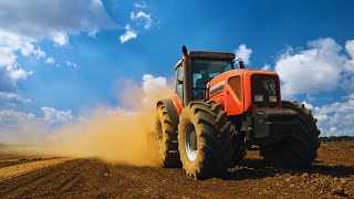 Combine Harvester Harvesting Wheat on a Sunset Field