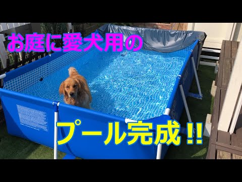 庭に犬用プールを作り２７年ぶりに夏を満喫！！最初は怖がっていた犬も入ったら大喜び楽しいそうな犬が可愛すぎ