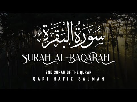 Surah Al-Baqarah I Qari Hafiz Salman | Arabic Recitation | 2nd Surah of the Quran