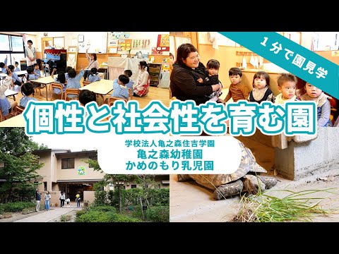 【園VLOG】個性と社会性を育む園/学校法人亀之森住吉学園  亀之森幼稚園かめのもり乳児園