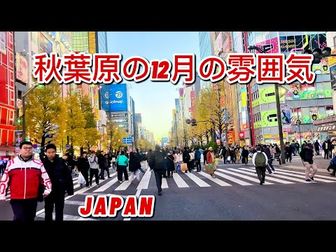 [4K] 冬の秋葉原がすごい! December Vibes in Akihabara 12月の秋葉原 ||