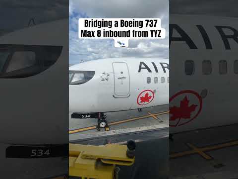 Bridging a Boeing 737Max 8 inbound from YYZ 🛬 #explore #airport #aviation tion