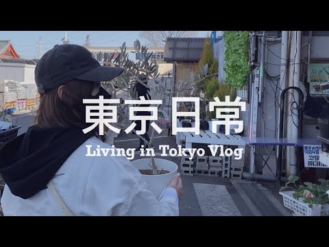 【 #東京日常 Vlog #09 】在日台灣夫婦的餐桌紀錄、KALDI 買了些什麼 🛒 、週末開共享汽車出門兜風、辛拉麵炒麵好辣好好吃 🌶️｜Living in Tokyo Vlog