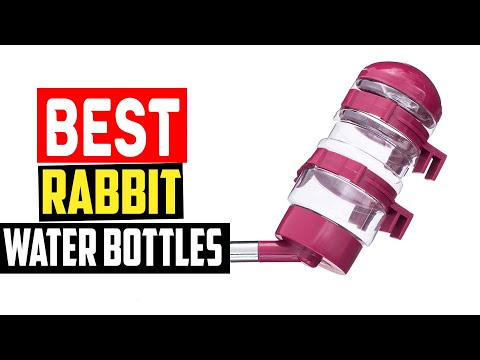 ✅Best Rabbit Water Bottles of 2023