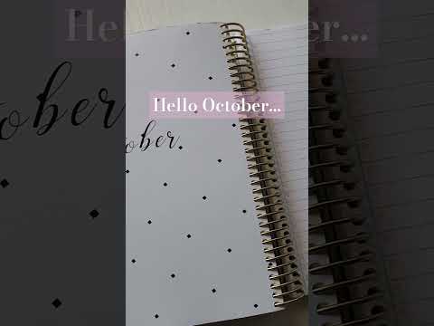 Planning my Month Based on My Top 3 Goals| #planwithme