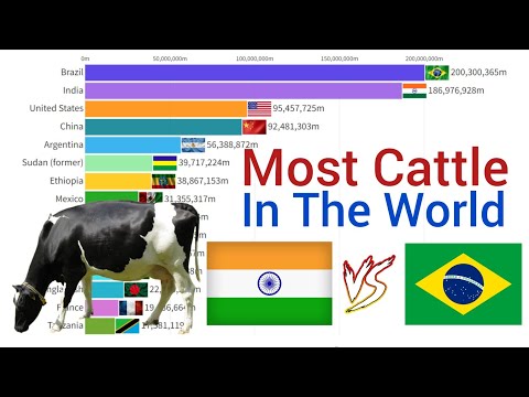 Countries With Most Cattle Population 1960 - 2023