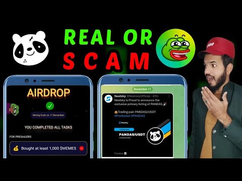 Panda & Memeland Scam 😱 ｜ Memeland & Panda legit or scam ｜ $RBTC Rockyrabbit pump future token