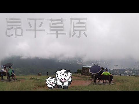 KillerSteal夢遊仙景 昂平草原 登山記#5