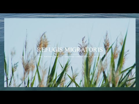 Refugis migratoris | Estrella Damm 2020